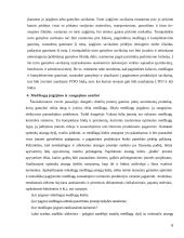 Trumpalaikio turto analizė 6 puslapis