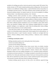 Trumpalaikio turto analizė 9 puslapis