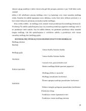 Trumpalaikio turto analizė 10 puslapis