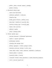 Turto vertinimo procesas 14 puslapis