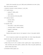 Turto vertinimo procesas 15 puslapis
