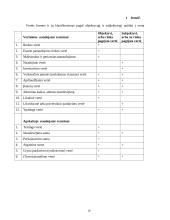 Turto vertinimo procesas 18 puslapis