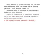 Turto vertinimo procesas 19 puslapis