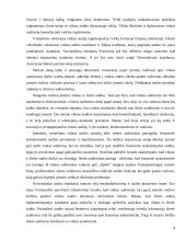 AB “Pieno žvaigždės” vidaus audito kokybės įvertinimas 4 puslapis