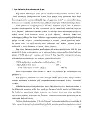 Atlyginimo ir soc. draudimo auditas 12 puslapis