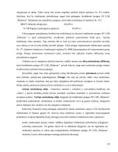 Atlyginimo ir soc. draudimo auditas 13 puslapis