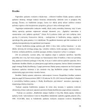 Atlyginimo ir soc. draudimo auditas 15 puslapis