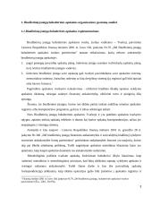 Atlyginimo ir soc. draudimo auditas 3 puslapis