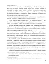 Atlyginimo ir soc. draudimo auditas 4 puslapis