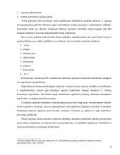 Atlyginimo ir soc. draudimo auditas 5 puslapis