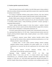 Atlyginimo ir soc. draudimo auditas 6 puslapis