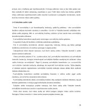 Audito istorija ir raida 15 puslapis