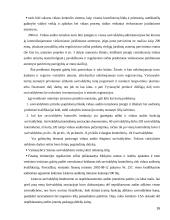 Audito istorija ir raida 16 puslapis