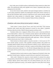 Audito istorija ir raida 17 puslapis