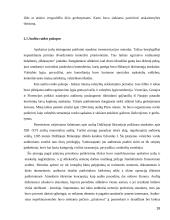 Audito istorija ir raida 18 puslapis