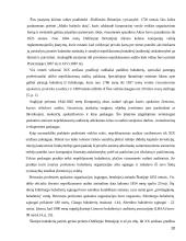 Audito istorija ir raida 20 puslapis