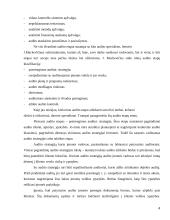 Audito istorija ir raida 4 puslapis