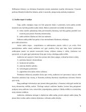 Audito istorija ir raida 5 puslapis