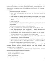 Audito istorija ir raida 6 puslapis