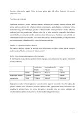 Audito rizikos įvertinimas 11 puslapis