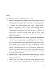 Audito rizikos įvertinimas 12 puslapis