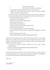 Audito rizikos įvertinimas 3 puslapis