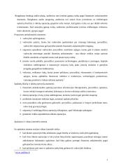 Audito rizikos įvertinimas 4 puslapis