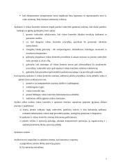 Audito rizikos įvertinimas 5 puslapis