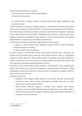 Audito rizikos įvertinimas 7 puslapis