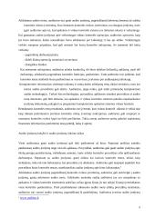 Audito rizikos įvertinimas 8 puslapis