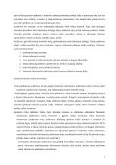 Audito rizikos įvertinimas 9 puslapis