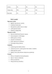 AB „Venta“ finansinės veiklos analizė 5 puslapis