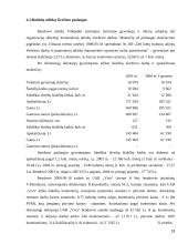 Biudžetinės įstaigos programos sąmatos įvykdymo analizė 19 puslapis