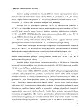 Biudžetinės įstaigos programos sąmatos įvykdymo analizė 20 puslapis