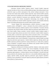 Biudžetinės įstaigos programos sąmatos įvykdymo analizė 3 puslapis