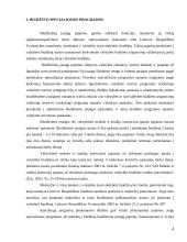 Biudžetinės įstaigos programos sąmatos įvykdymo analizė 4 puslapis