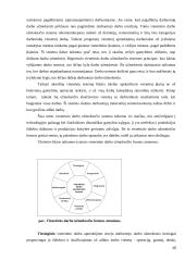 AB „Pieno žvaigždės“ darbo užmokesčio apskaita 15 puslapis