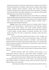 AB „Pieno žvaigždės“ darbo užmokesčio apskaita 17 puslapis