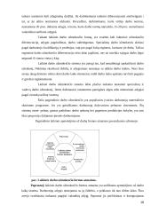 AB „Pieno žvaigždės“ darbo užmokesčio apskaita 18 puslapis