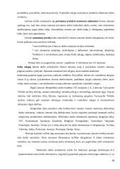 AB „Pieno žvaigždės“ darbo užmokesčio apskaita 19 puslapis