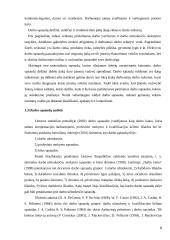 AB „Pieno žvaigždės“ darbo užmokesčio apskaita 8 puslapis