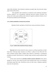 Darbo užmokesčio apskaita įmonėje 13 puslapis