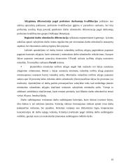 Darbo užmokesčio apskaita įmonėje 19 puslapis