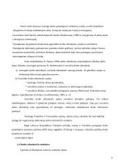 Darbo užmokesčio apskaita įmonėje 4 puslapis