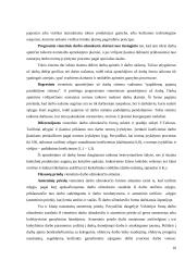 Darbo užmokesčio apskaita įmonėje 10 puslapis