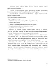 Federacinių valstybių ir jų sudėtinių vienetų tarptautinio subjektiškumo ypatumai 11 puslapis