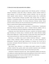 Federacinių valstybių ir jų sudėtinių vienetų tarptautinio subjektiškumo ypatumai 6 puslapis