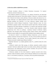 Federacinių valstybių ir jų sudėtinių vienetų tarptautinio subjektiškumo ypatumai 10 puslapis