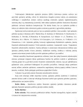 Finansinės ir buhalterinės apskaitos ryšys 2 puslapis