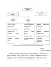 Finansinės ir buhalterinės apskaitos ryšys 11 puslapis